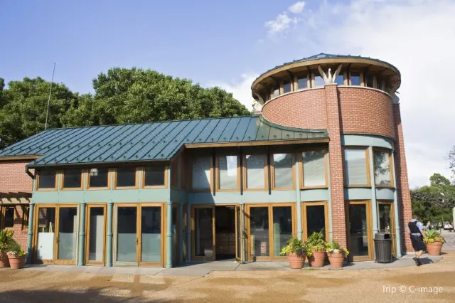 30 Fun Things to Do in Chicago for New Year 2026 