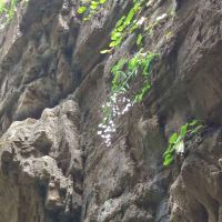 評論圖片 4