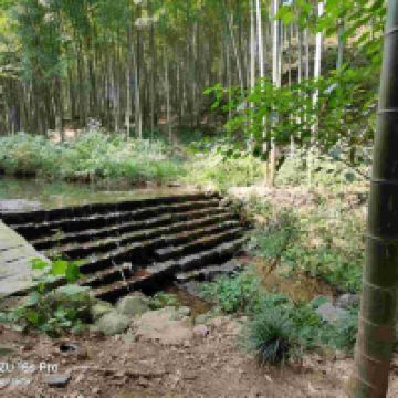 評論圖片 1
