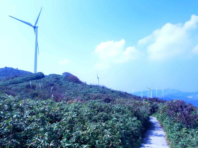 Daxiong Mountain National Forest Park