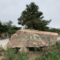 評論圖片 6