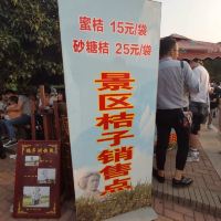 評論圖片 9