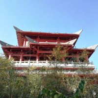 評論圖片 3