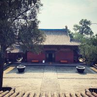 評論圖片 8