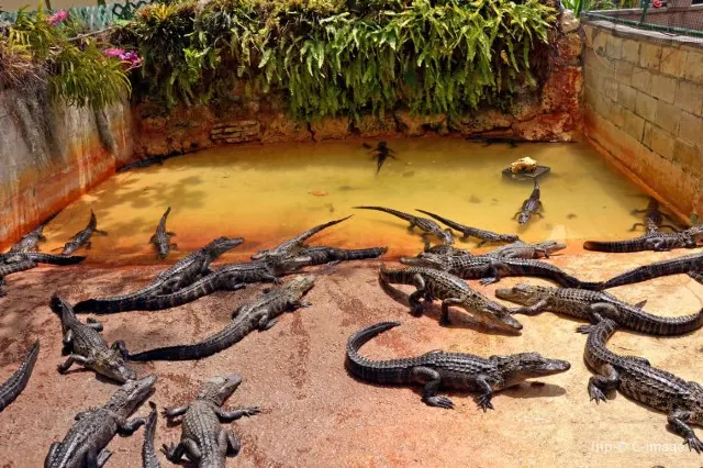 20 Best US Destinations for Winter Sun