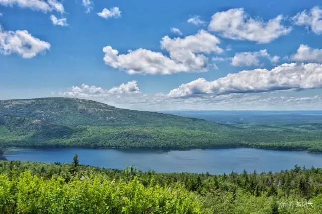 10 Awesome Domestic Coast Oct 2025