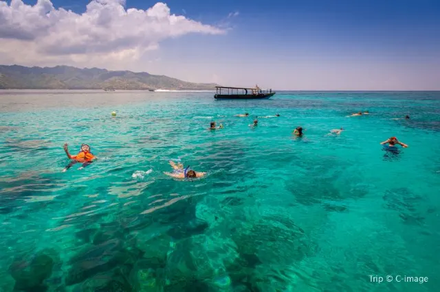 10 Best Beaches to See Sea Turtles in The World