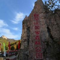 評論圖片 2