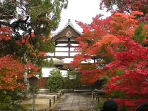 Kirishima Shrine