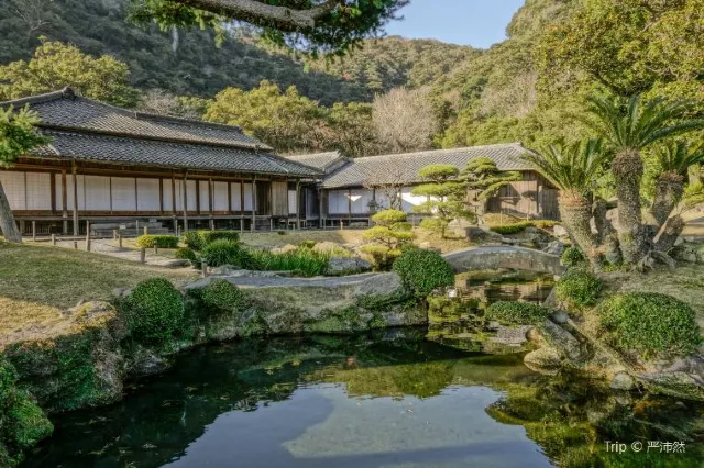 【南九州自由行】南九州必訪景點大公開!讓你第一次自由行就上手