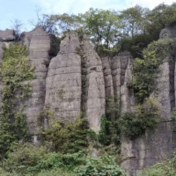 評論圖片 5