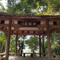 評論圖片 8