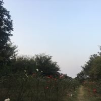 評論圖片 3