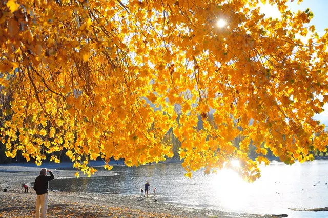 Things to do in Wanaka in Autumn and Winter 2025: Low-Key Charming Town for Sports and Relaxation