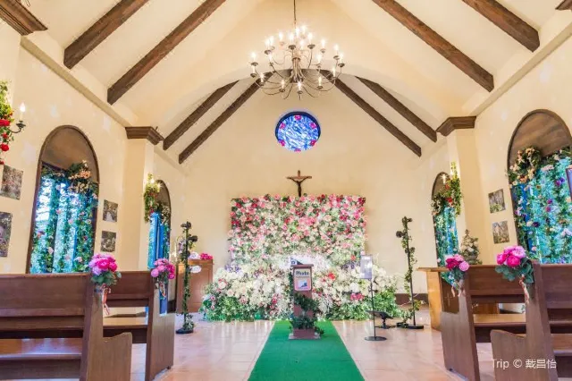 The 10-Best Things to See and Do in Hakone