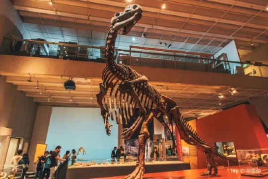 Fabulous 12 Things to Do in Brisbane