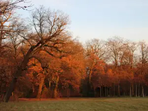 Sanssouci Palace