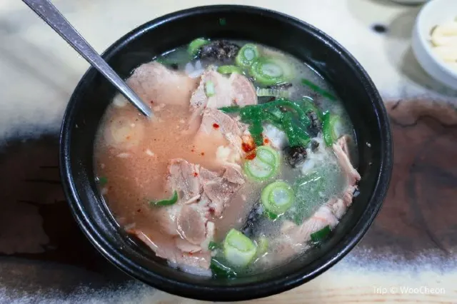 2026 부산 여행 3박4일 가이드 | 부산 가볼만한 곳부터 내돈내산 뜨끈한 돼지국밥 찐맛집, 부산 호텔 추천까지