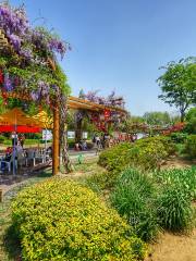 Rizhao Botanical Garden