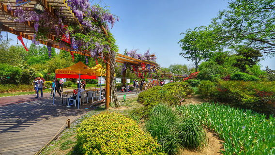 Rizhao Botanical Garden