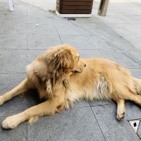 評論圖片 9