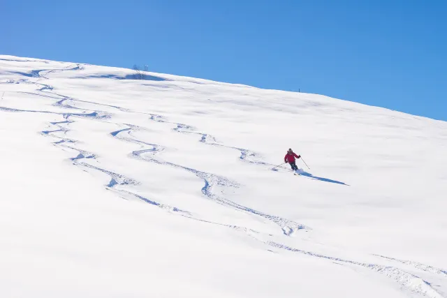 又是一年滑雪季!海外熱門滑雪地大盤點
