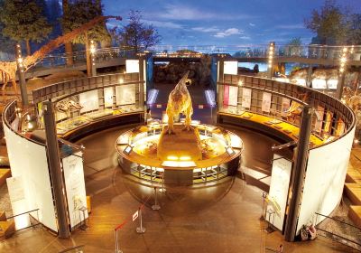 Fukui Prefectural Dinosaur Museum