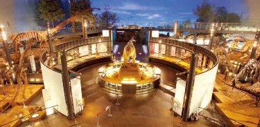 Fukui Prefectural Dinosaur Museum