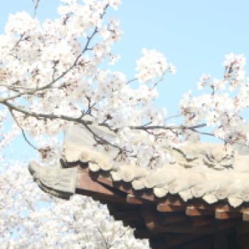 評論圖片 8