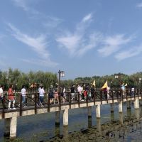 評論圖片 5
