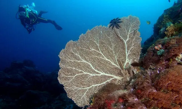 Green Island Around Taitung Is So Attractive and You Can go Snorkeling and Take A Bath in Hot Springs in The Seabed Here