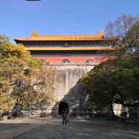 評論圖片 8