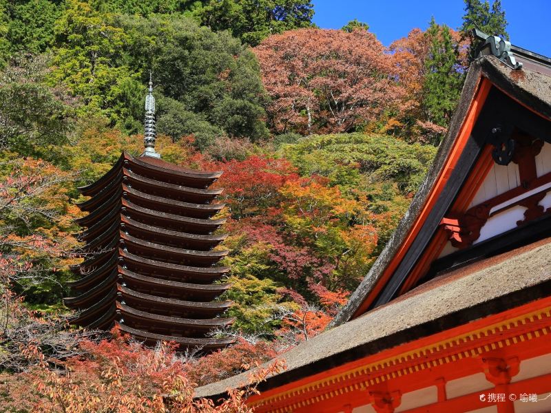 談山神社