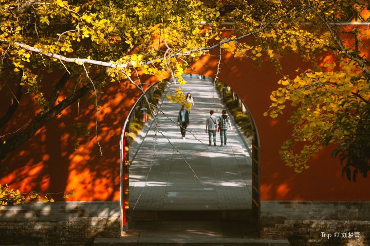 南京観光2泊3日のおすすめのモデルコース