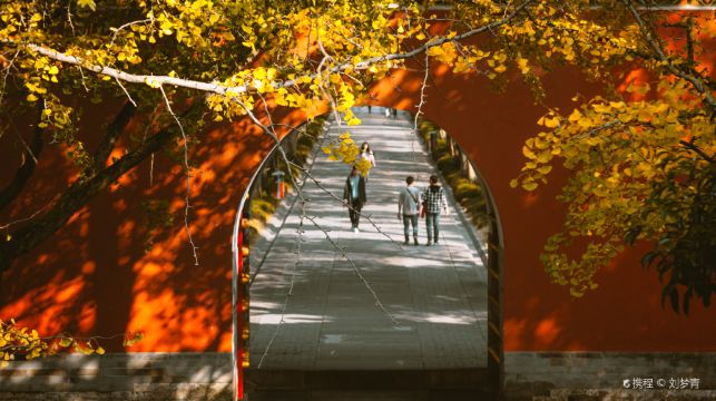江蘇南京景區導遊講解-南京博物院/中山陵/明孝陵【景區自選/2小時單景點講解/純玩體驗】