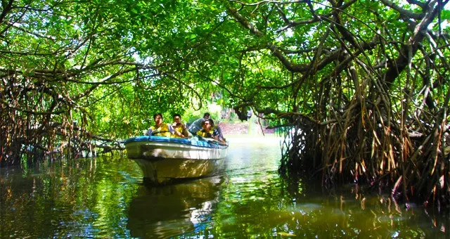 Fun You can’t Miss