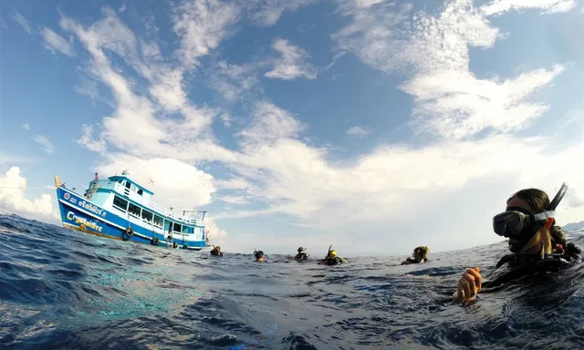 Koh Samui: Thailand's Most Famous Dive Spot