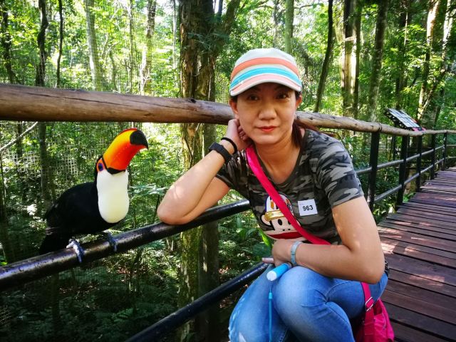 Birds Park