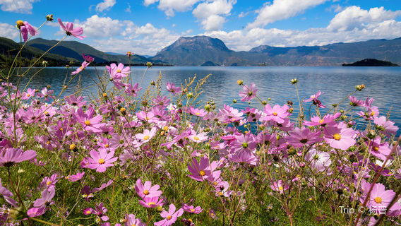 Gemu Goddess Mountain