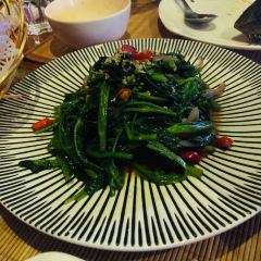 The Spice User Photo