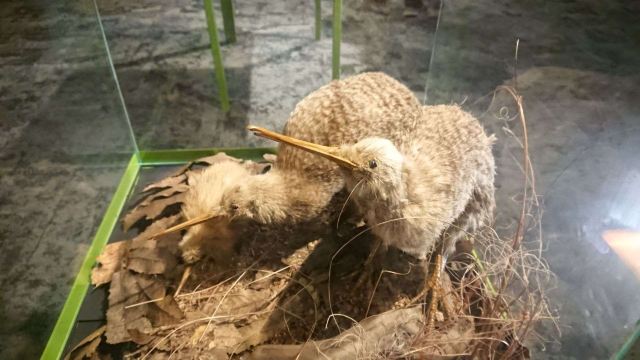 彩虹泉自然公園