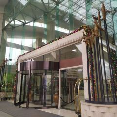 Sense All Day Dining Restaurant @ Hilton Guangzhou Science City User Photo
