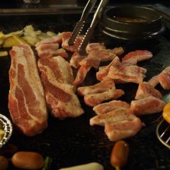 波棱雪用戶圖片