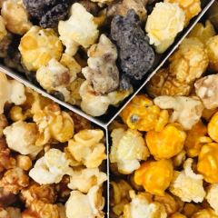 Sweet Dogs User Photo