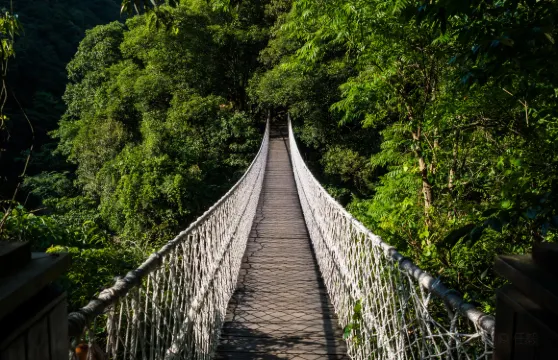 寧海森林温泉小食券大小同價
