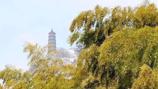 地处镇江古运河风光带的鼎石山上，建于1994年4月，公园古朴