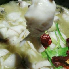 Bensu●suancai Fish (huayuan) User Photo
