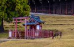 東大寺二月堂