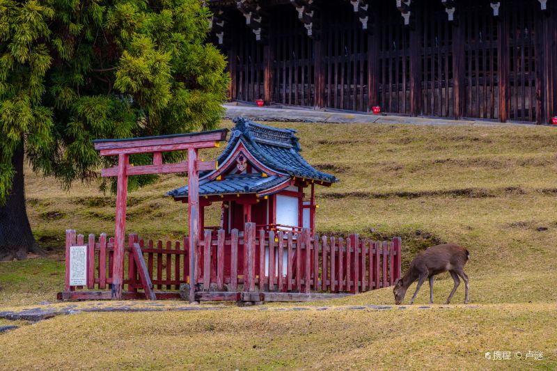 東大寺二月堂