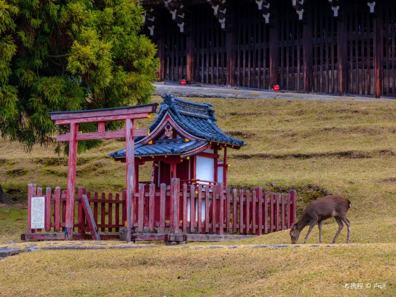 東大寺二月堂